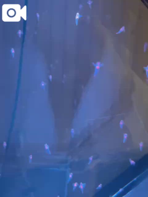 🎥裏では大事故でした🐱🐾